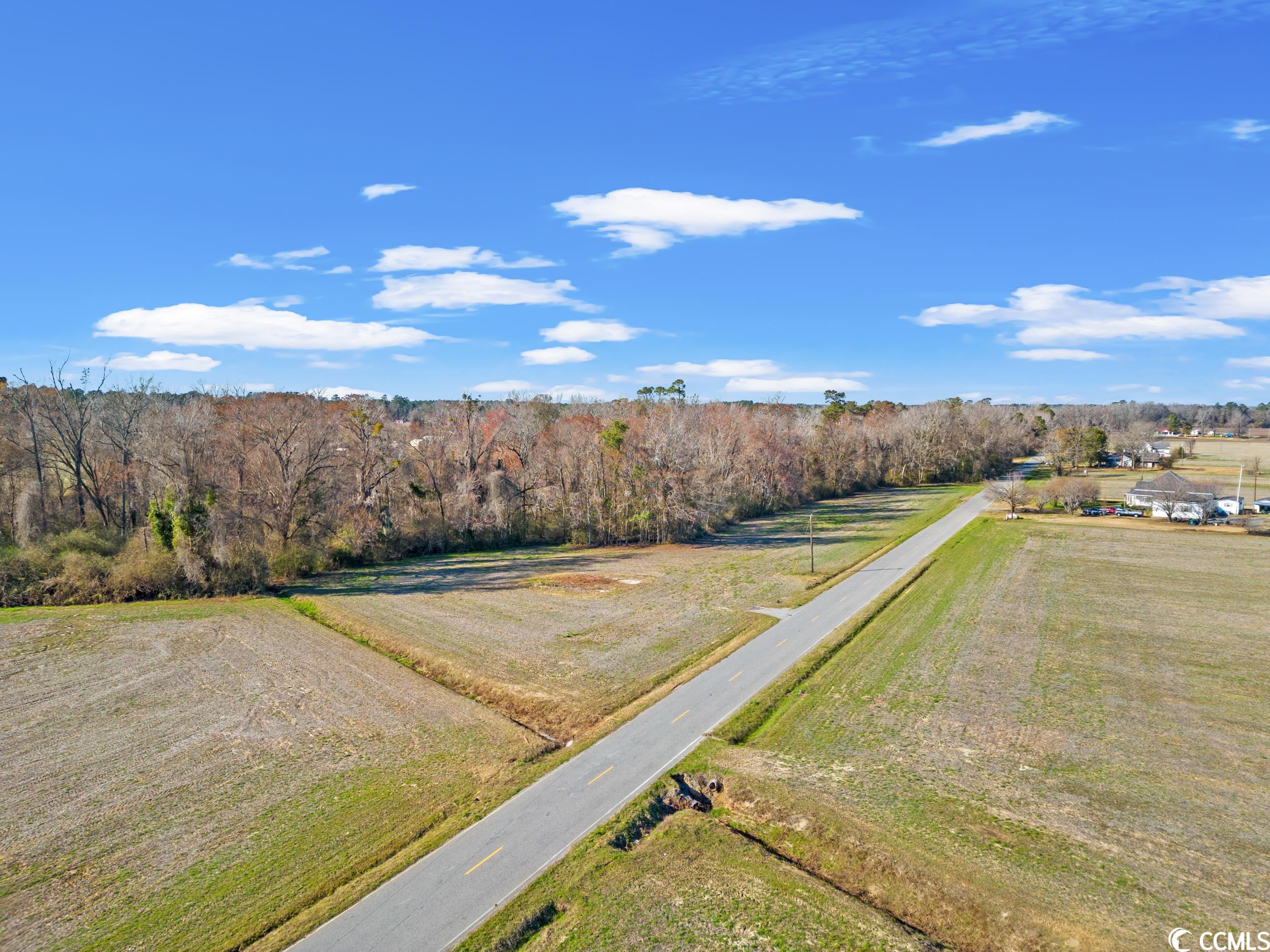 Tbd Kemper Road Nichols, SC 29581 - Photo 6 of 11 Gallery Image 6