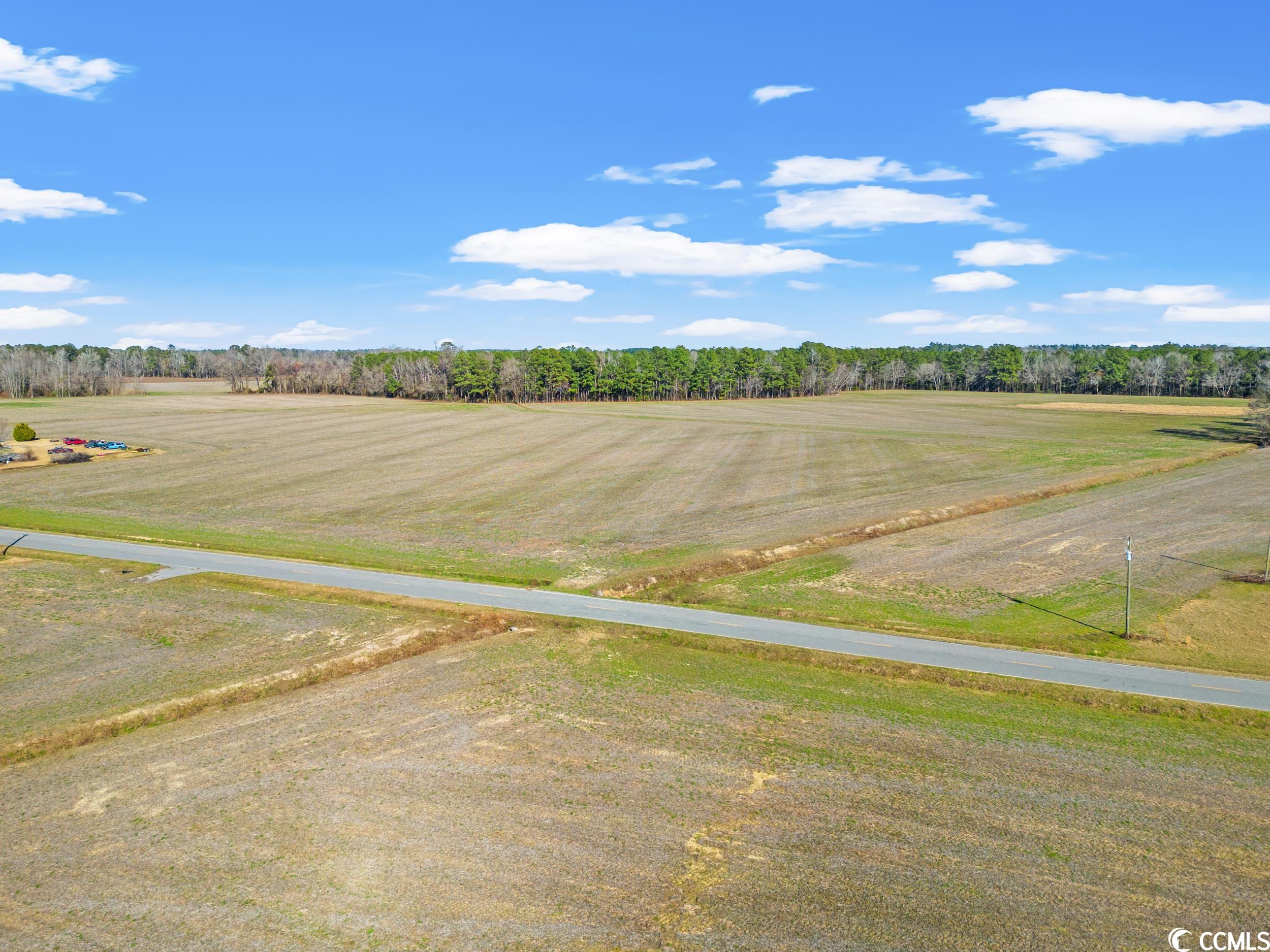 Tbd Kemper Road Nichols, SC 29581 - Photo 7 of 11 Gallery Image 7