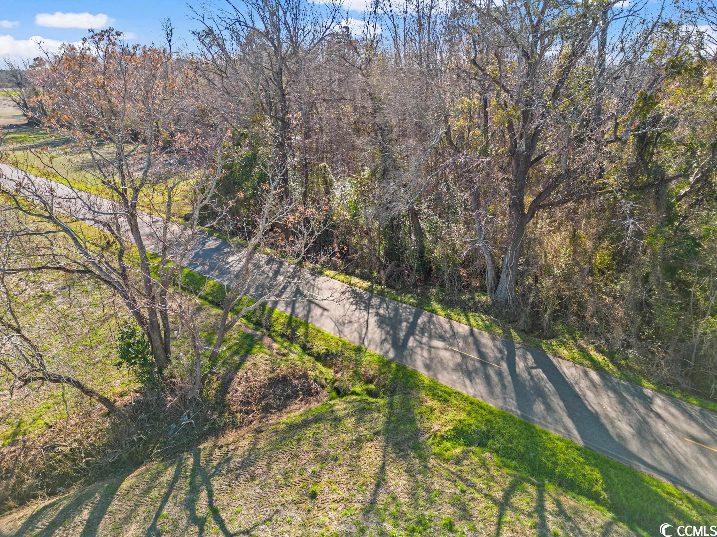Tbd Kemper Road Nichols, SC 29581 - Photo 10 of 11 Gallery Image 10
