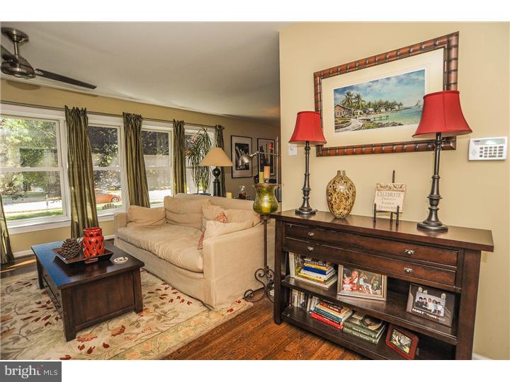 Gallery Image 7