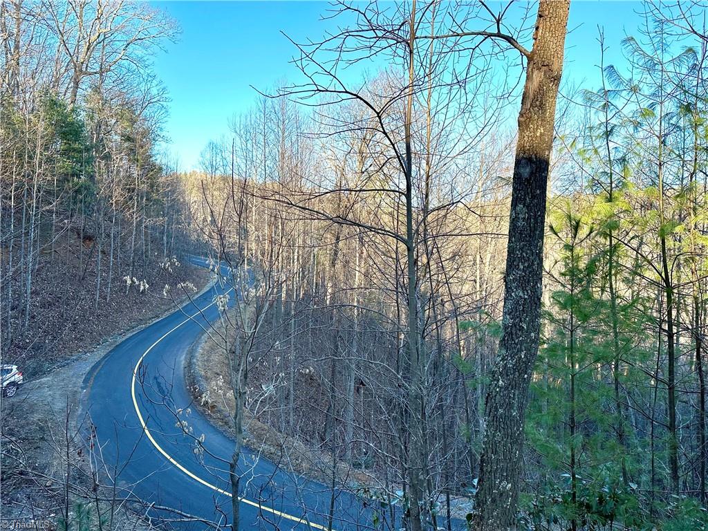 236 Staghorn Road Purlear, NC 28665 - Photo 14 of 27 Gallery Image 14
