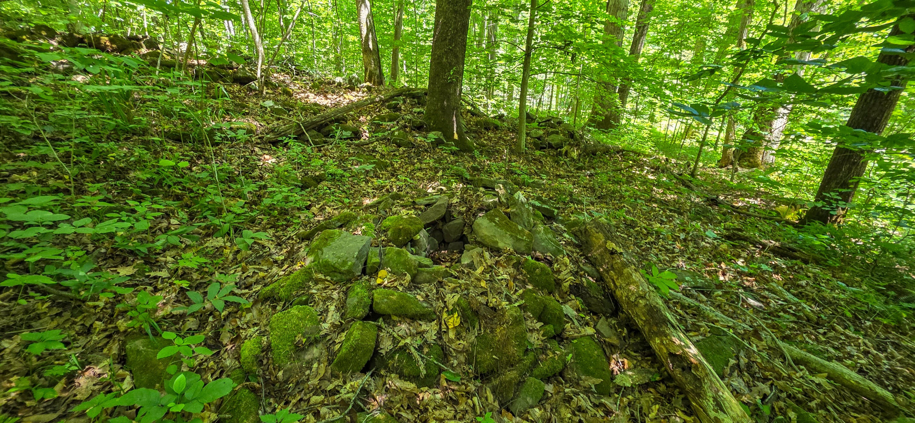 Big Creek Road Hinton, WV 25951 - Photo 8 of 18 Gallery Image 8