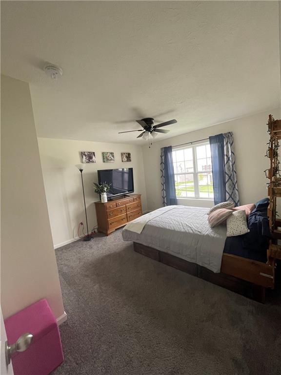 6680 Mayapple Drive Pendleton, IN 46064 - Photo 19 of 24