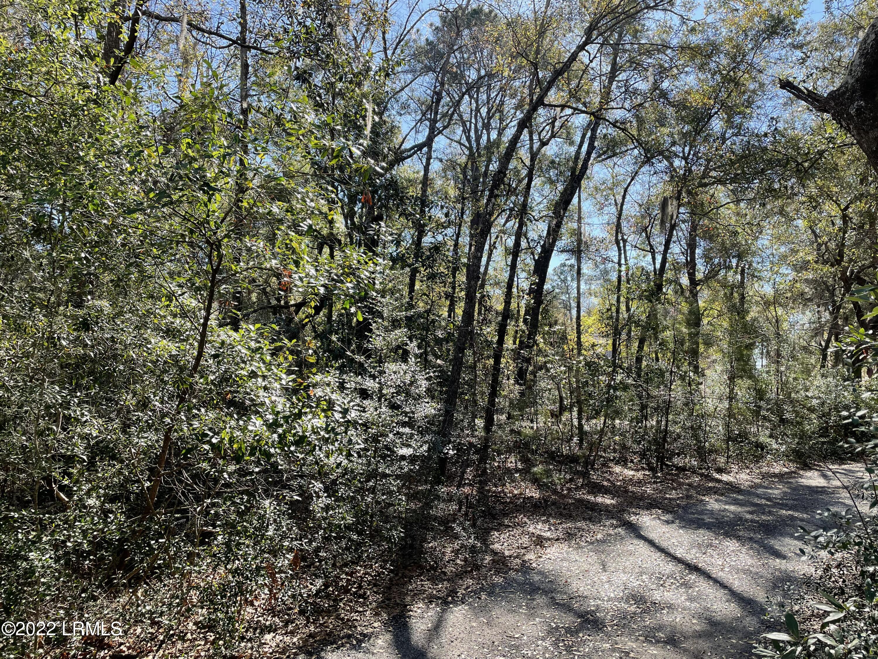 2 Loggerhead Trail Beaufort, SC 29907 - Photo 3 of 5 Loggerhead Trail