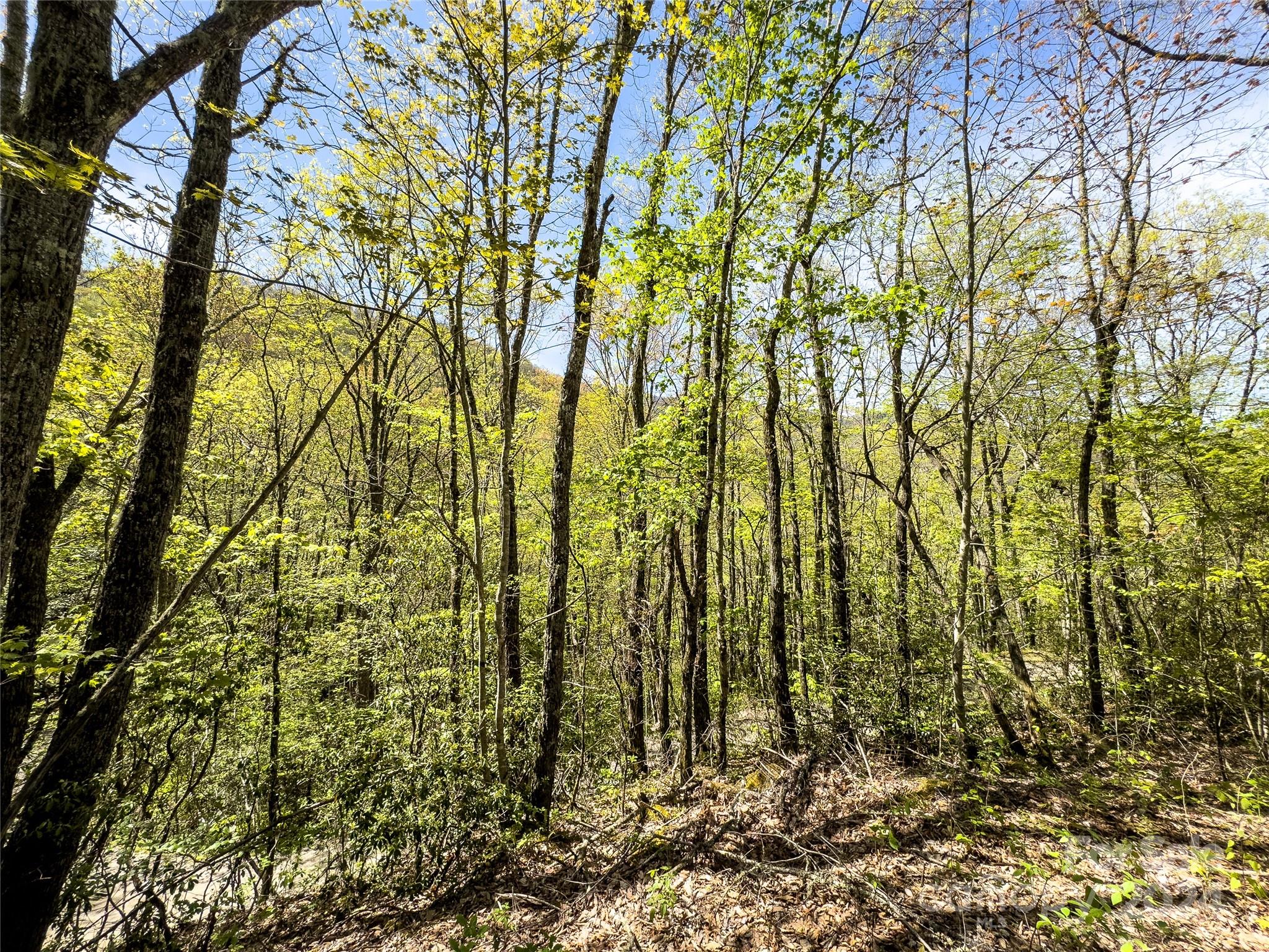 2414 Black Rock Road, Unit 72 Cherokee, NC 28719 - Photo 2 of 9