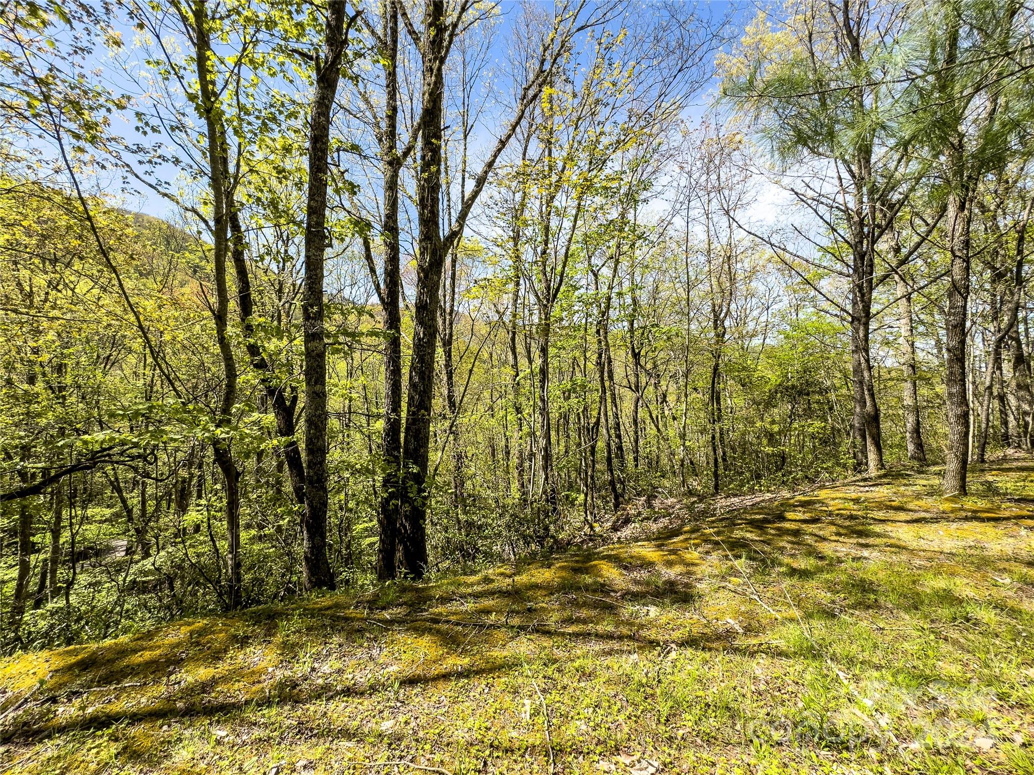 2414 Black Rock Road, Unit 72 Cherokee, NC 28719 - Photo 3 of 9 a view of outdoor space with trees