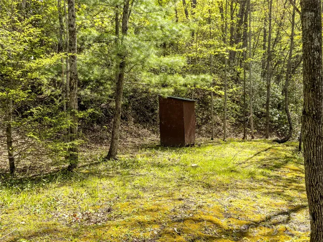 a view of yard from a building