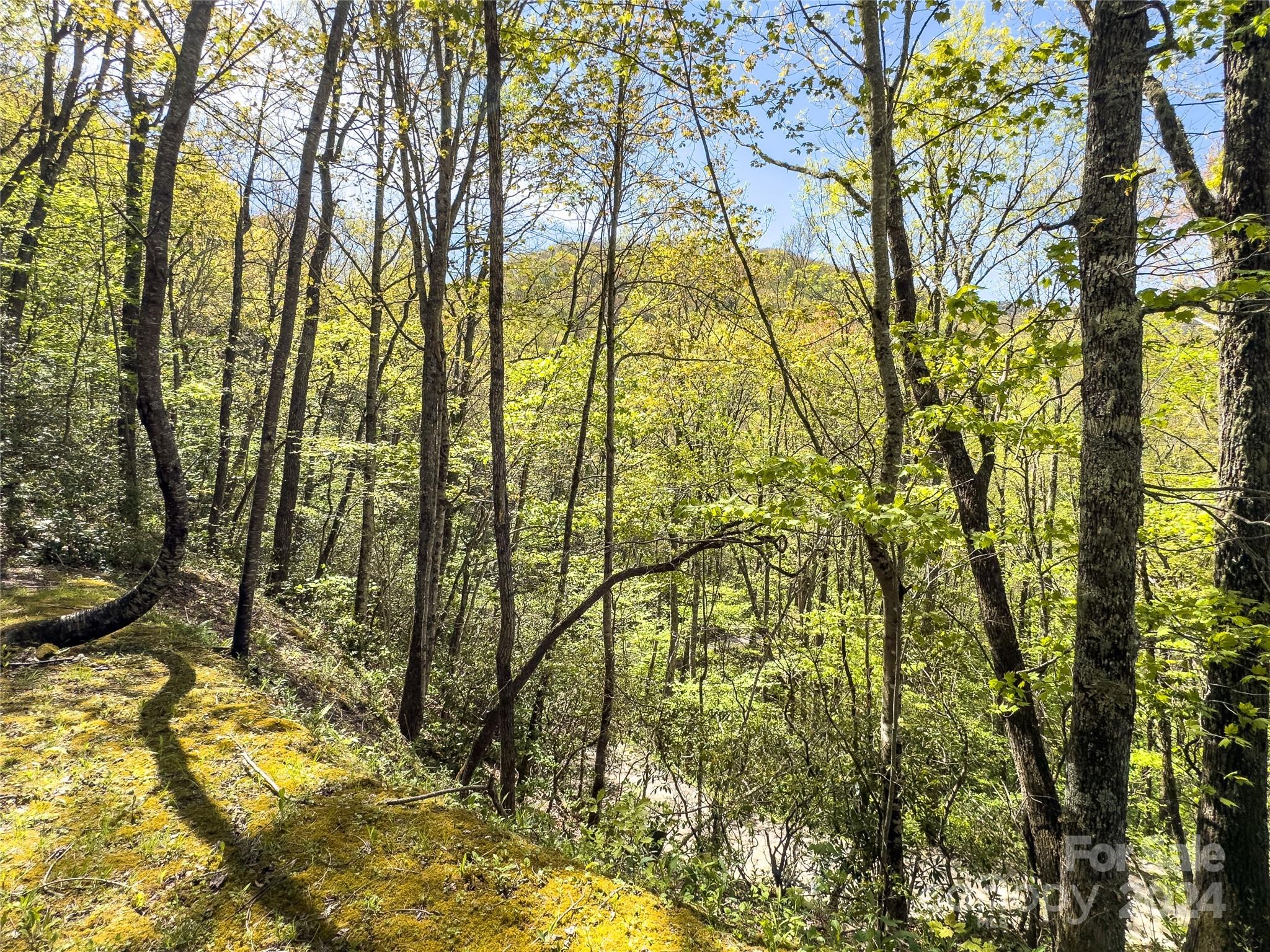 2414 Black Rock Road, Unit 72 Cherokee, NC 28719 - Photo 6 of 9 a view of yard from a building