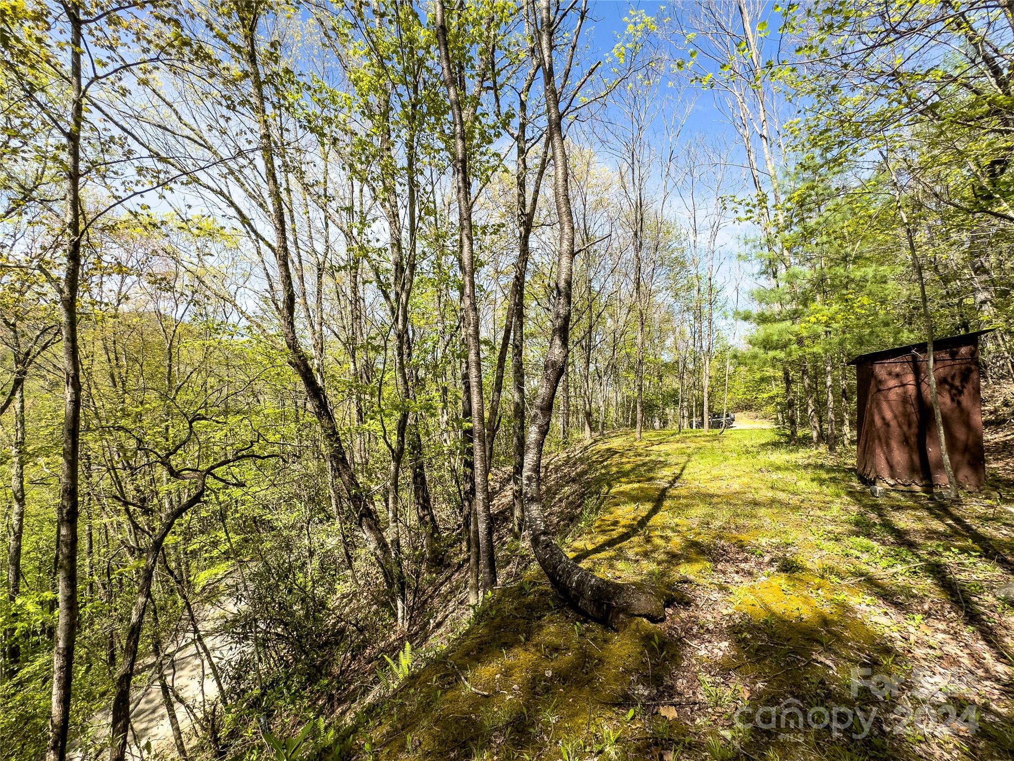 2414 Black Rock Road, Unit 72 Cherokee, NC 28719 - Photo 7 of 9 a view of a yard with trees