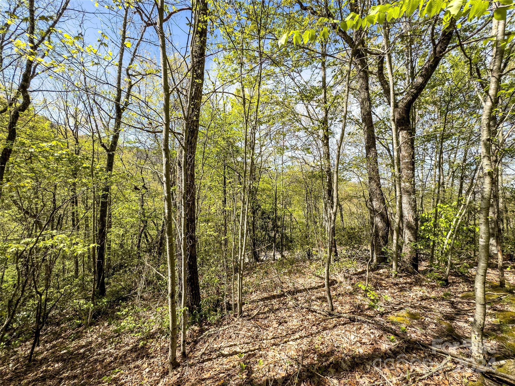 2414 Black Rock Road, Unit 72 Cherokee, NC 28719 - Photo 8 of 9 a view of a yard