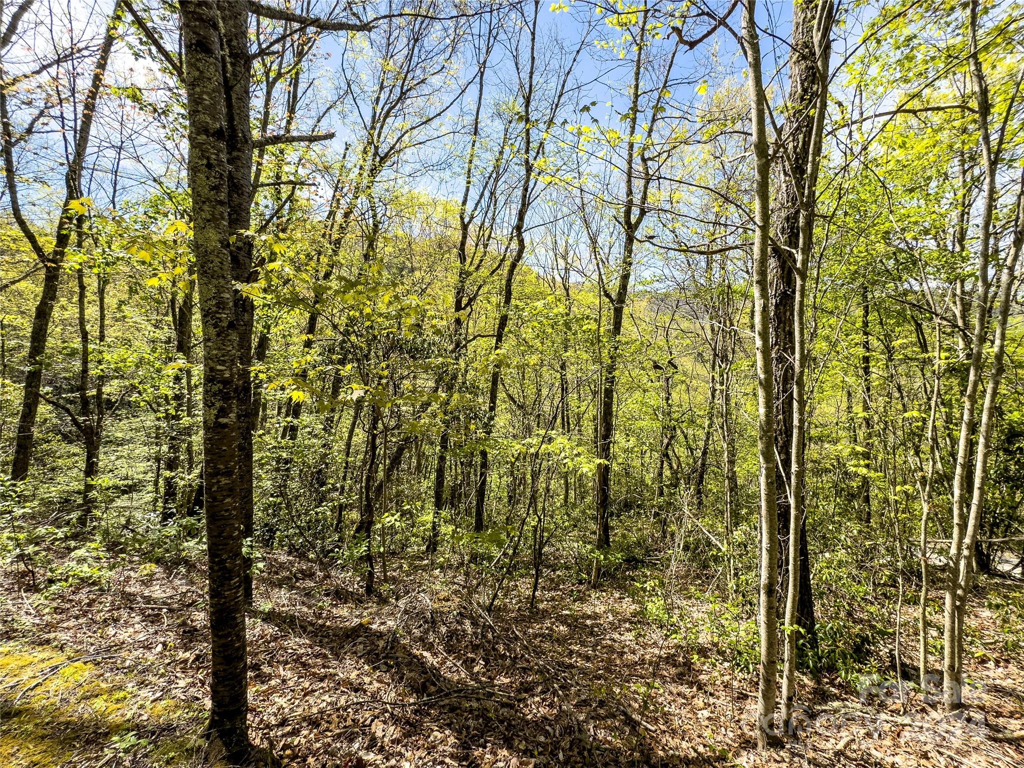 2414 Black Rock Road, Unit 72 Cherokee, NC 28719 - Photo 9 of 9 a view of a garden