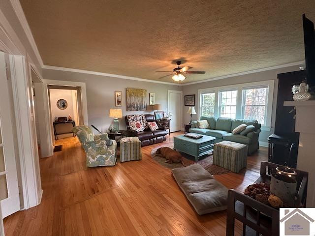 705 West Locust Street Princeton, KY 42445 - Photo 9 of 34 Photo 9