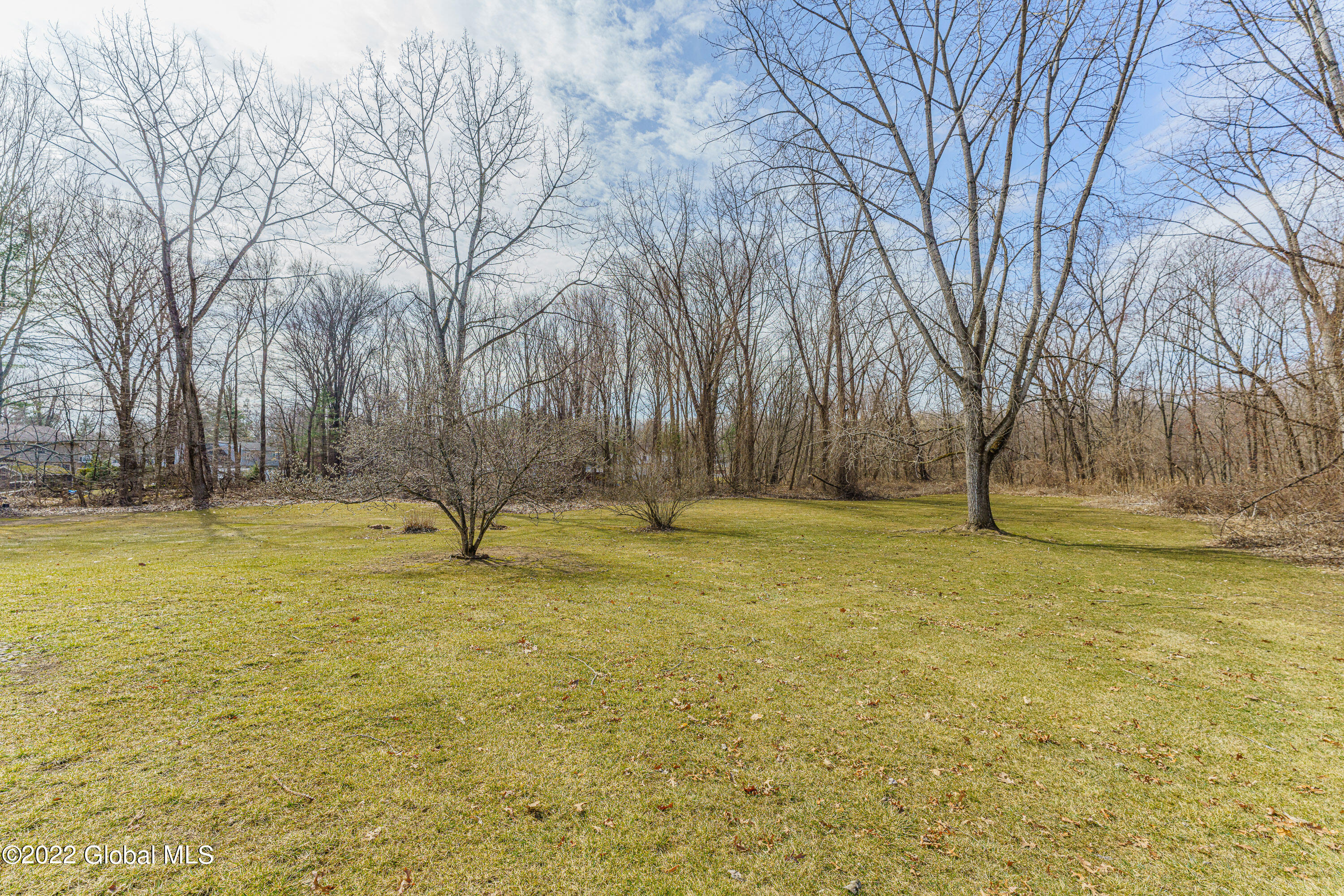 4075 Georgetown Square Schenectady, NY 12303 - Photo 37 of 40 Yard 5