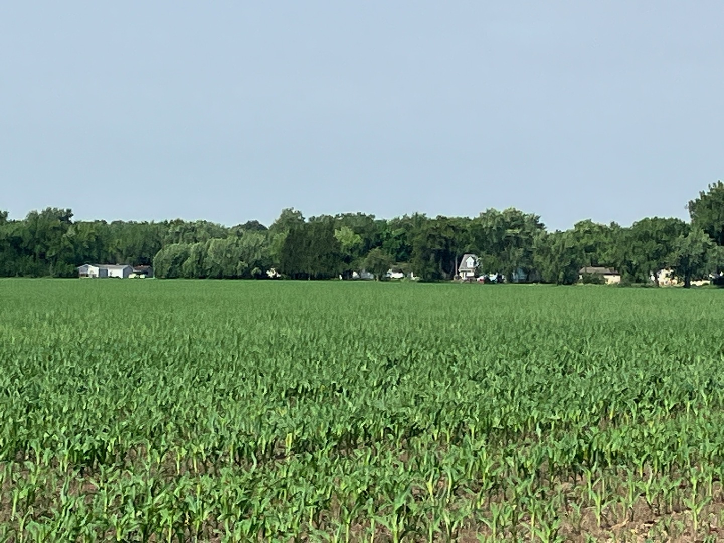 0 Center Road Rochelle, IL 61068 - Photo 18 of 32