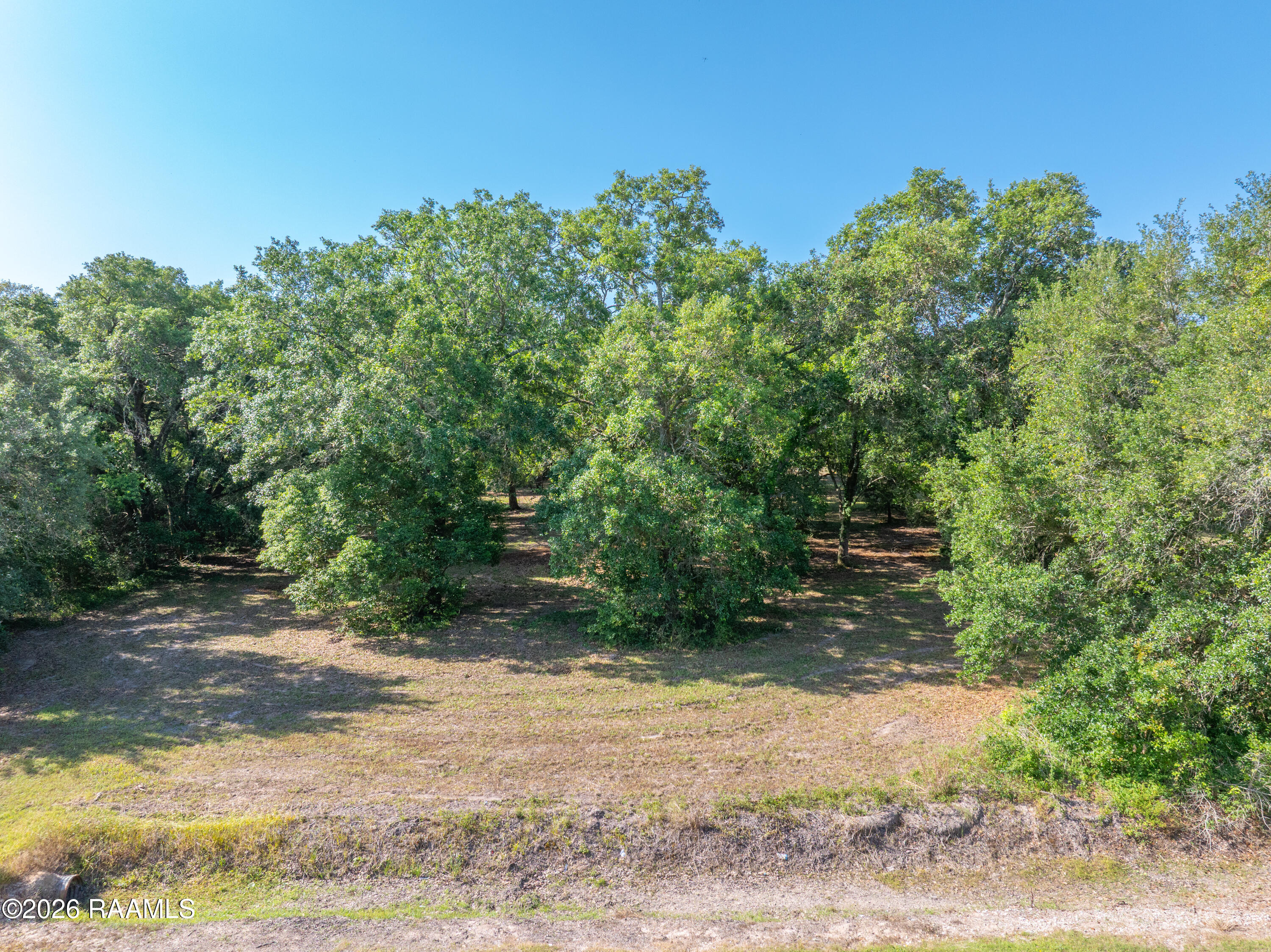 595 Iowa Gueydan, LA 70542 - Photo 6 of 16 LakeArthurLots-1