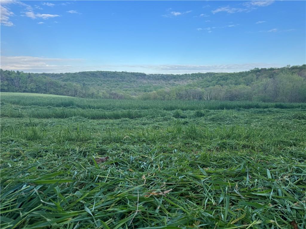 0 Grove Road Stoystown, PA 15563 - Photo 21 of 34