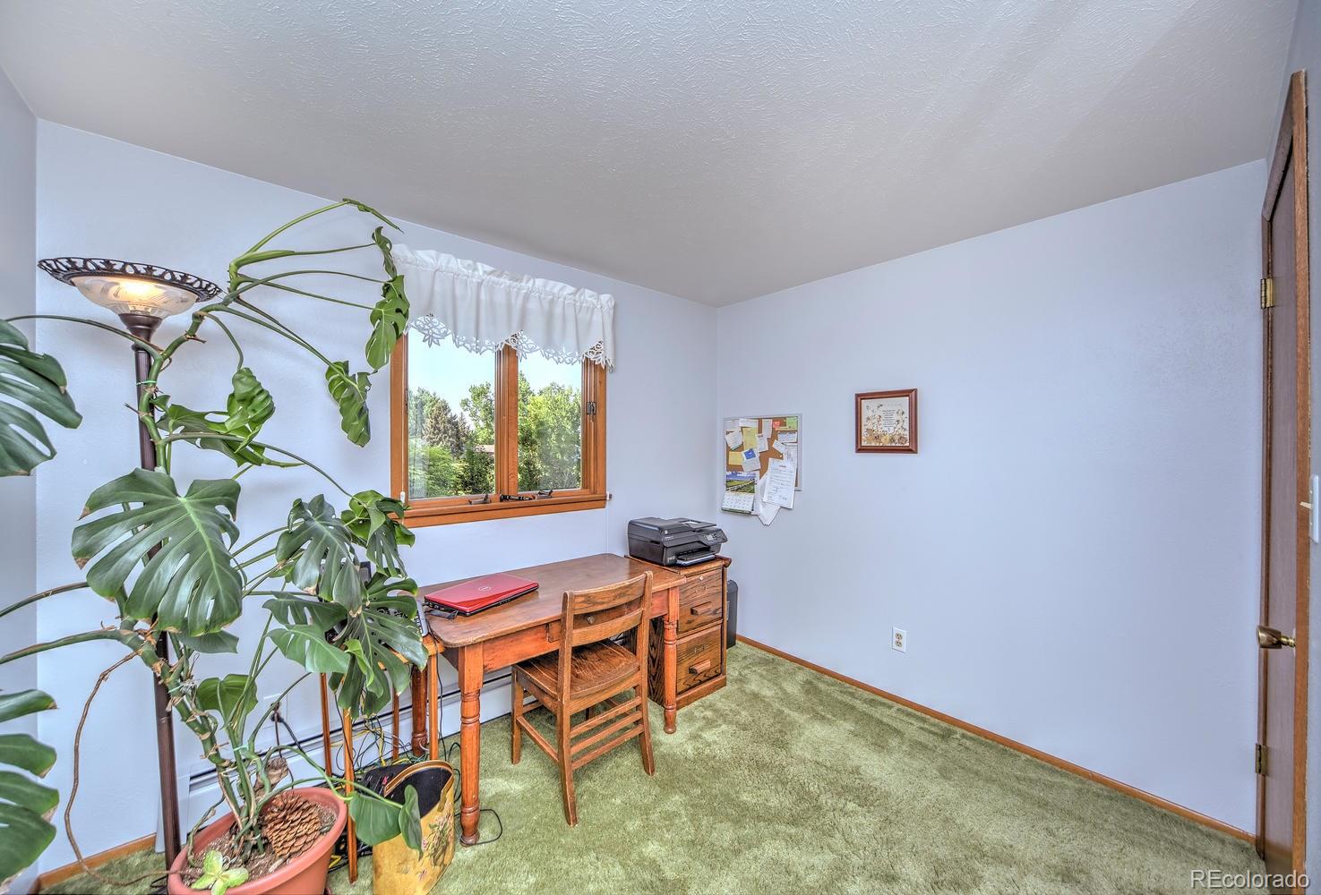 2219 Riviera Place Longmont, CO 80501 - Photo 16 of 19 a room with furniture and a potted plant