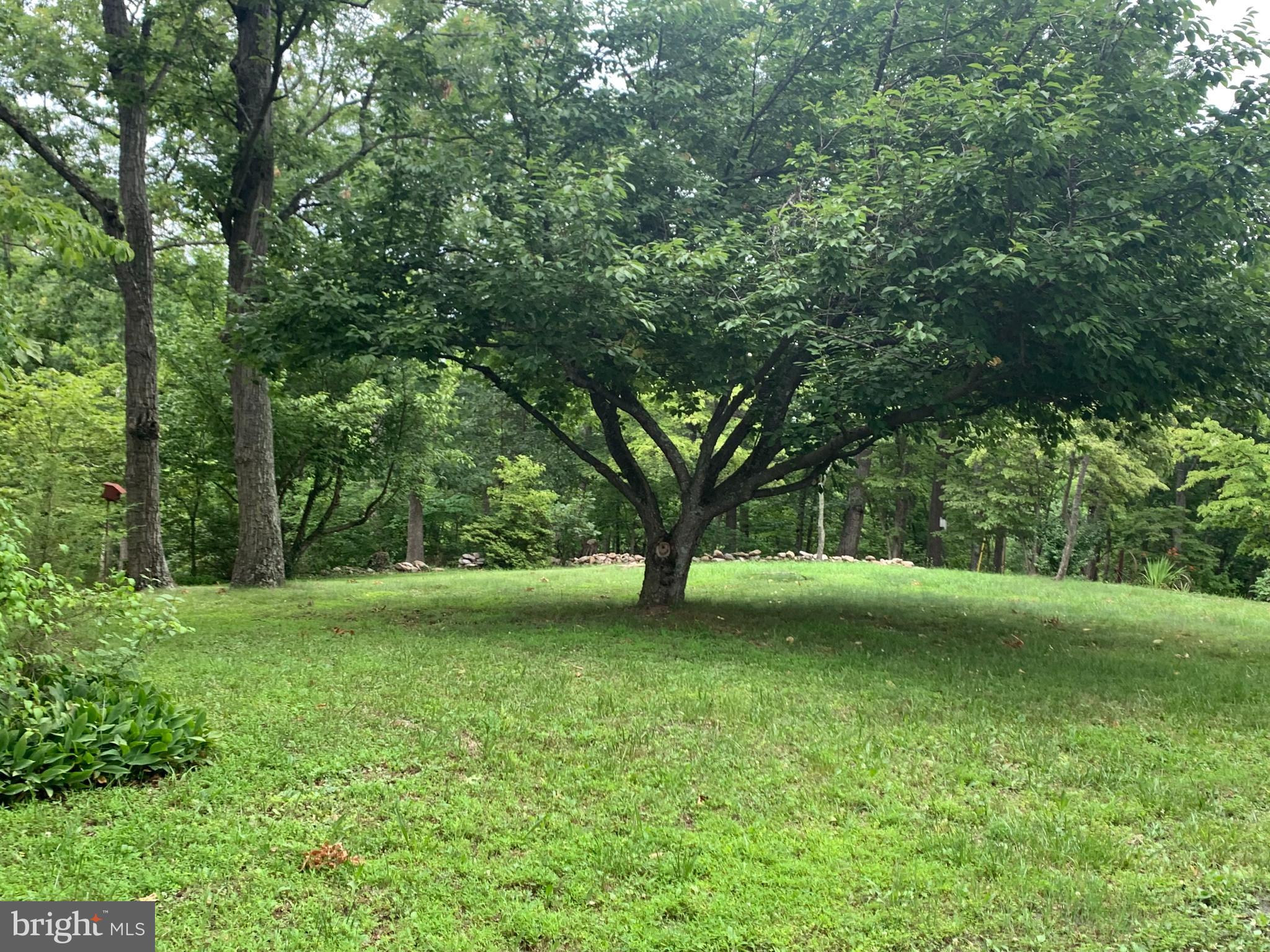 1202 Ridgeway Road Front Royal, VA 22630 - Photo 3 of 37 Yard