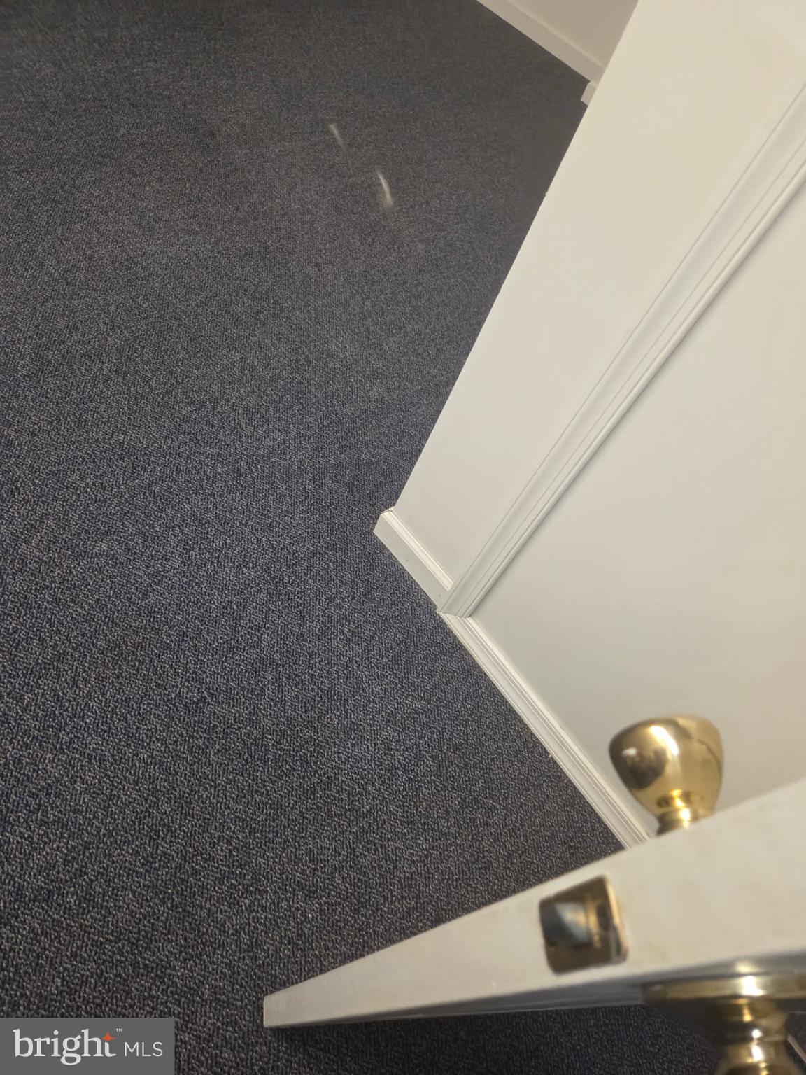 304 North Front Street Liverpool, PA 17045 - Photo 17 of 24 CARPET