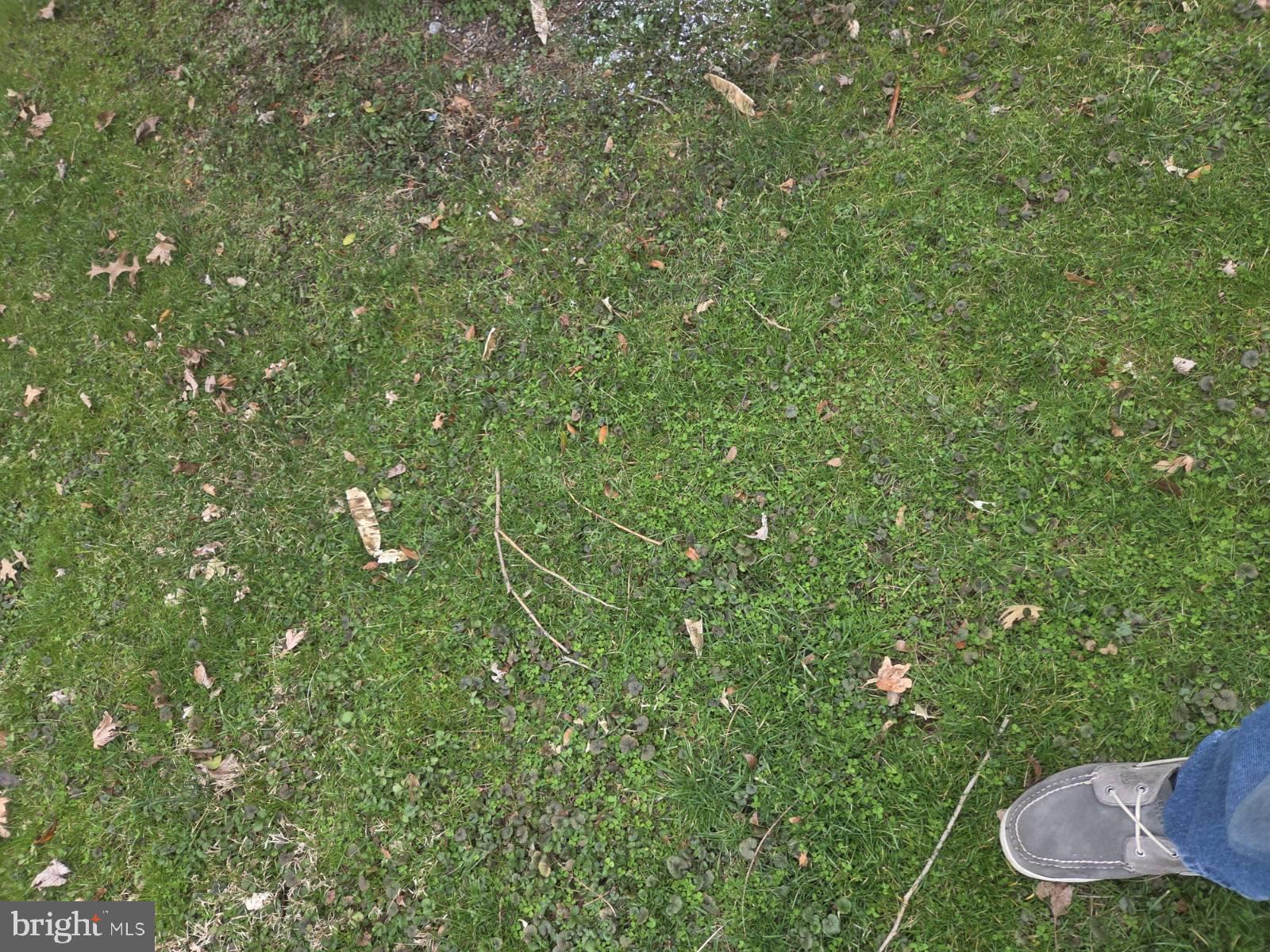 304 North Front Street Liverpool, PA 17045 - Photo 6 of 24