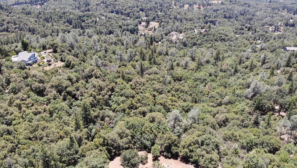 0 Bowman Road Pine Grove, CA 95665 - Photo 19 of 30