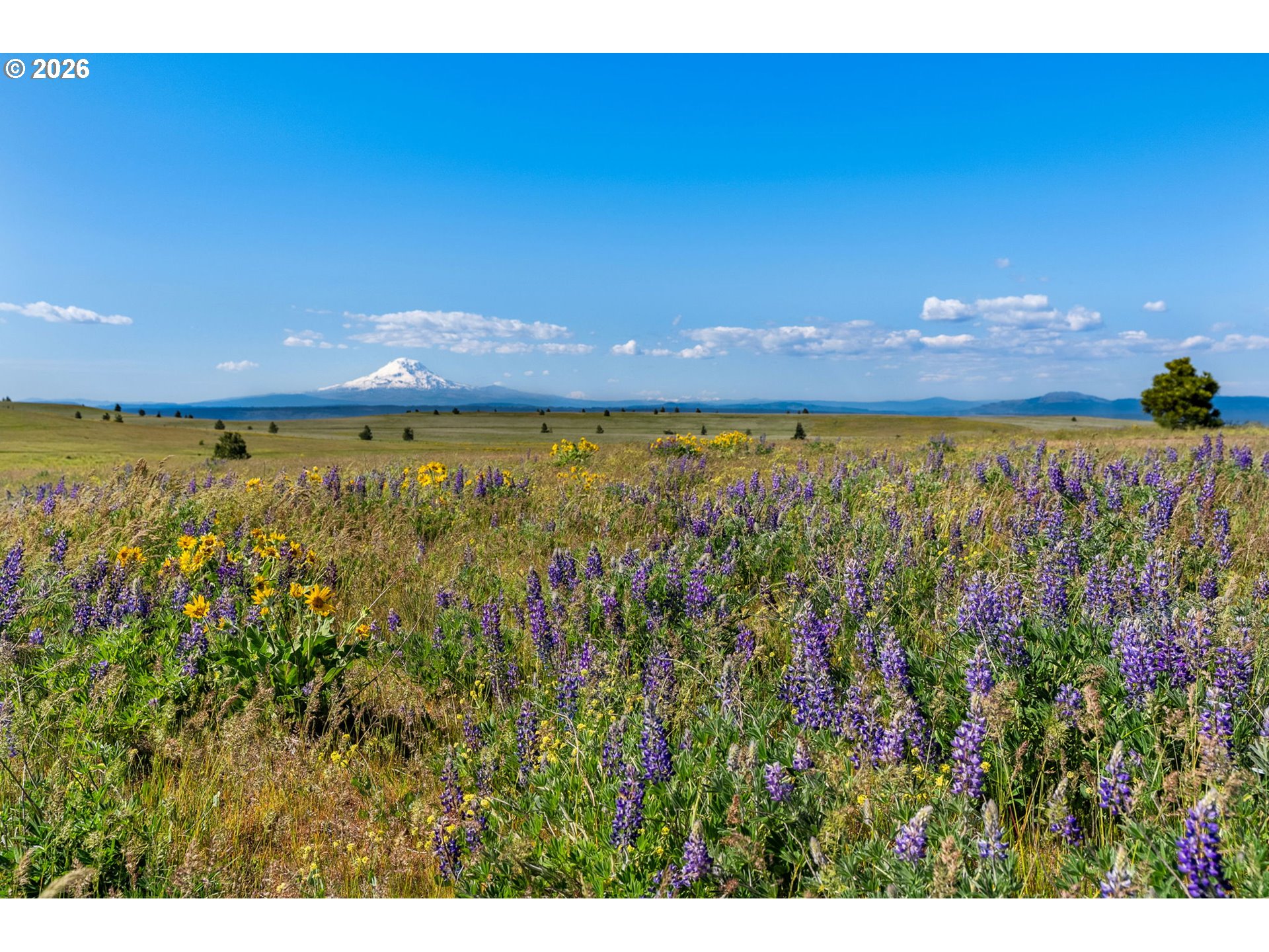 1125 High Prairie Road Lyle, WA 98635 - Photo 23 of 47