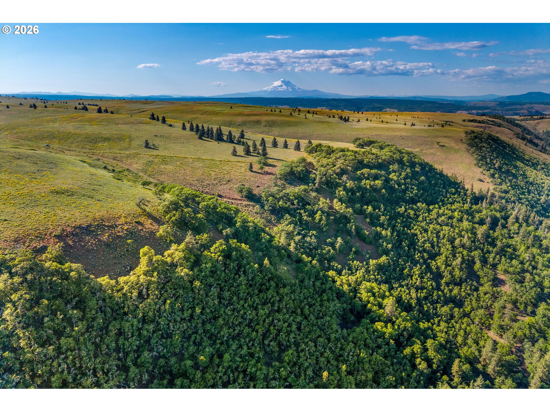 1125 High Prairie Road Lyle, WA 98635 - Photo 33 of 47