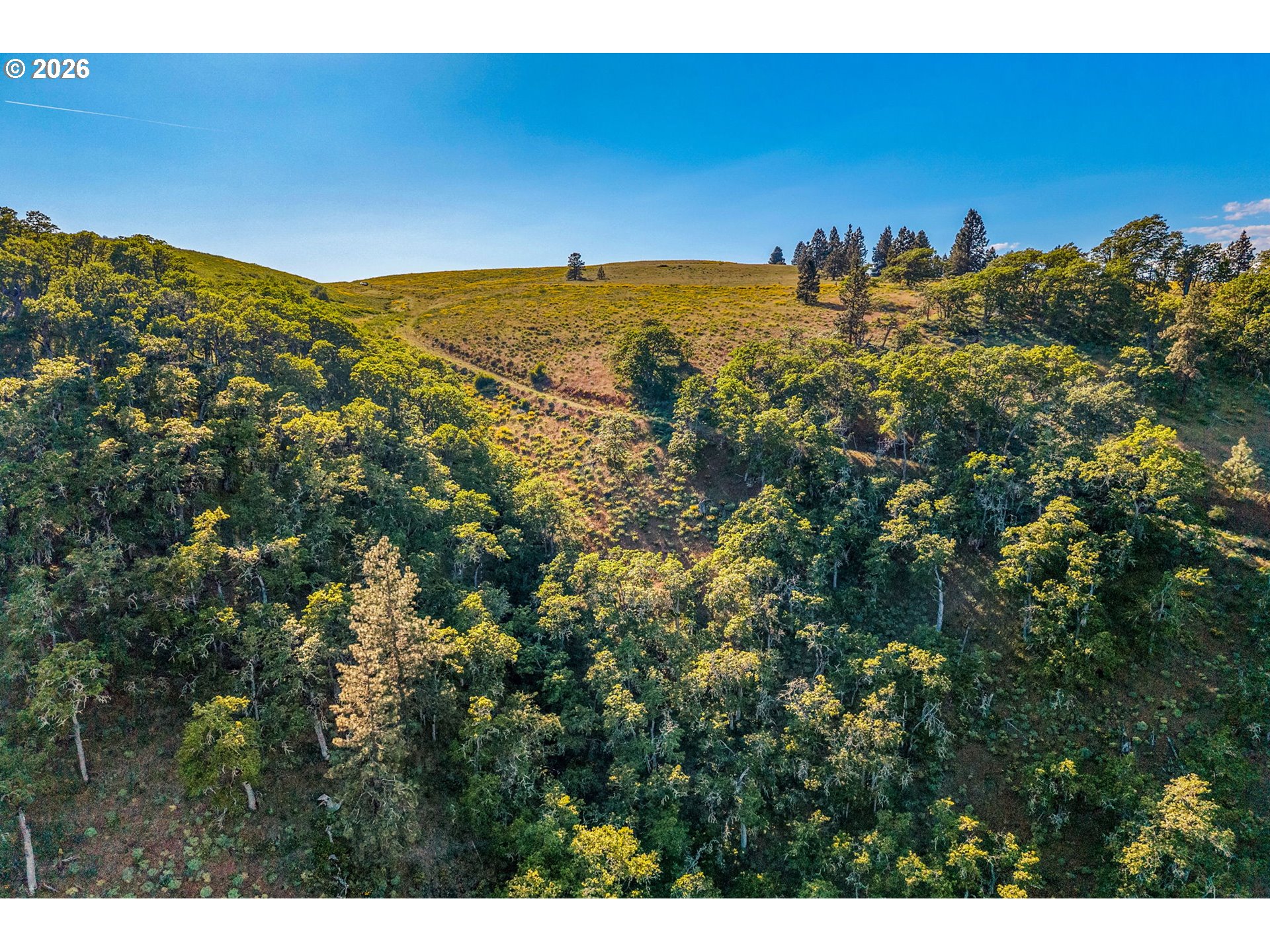 1125 High Prairie Road Lyle, WA 98635 - Photo 34 of 47