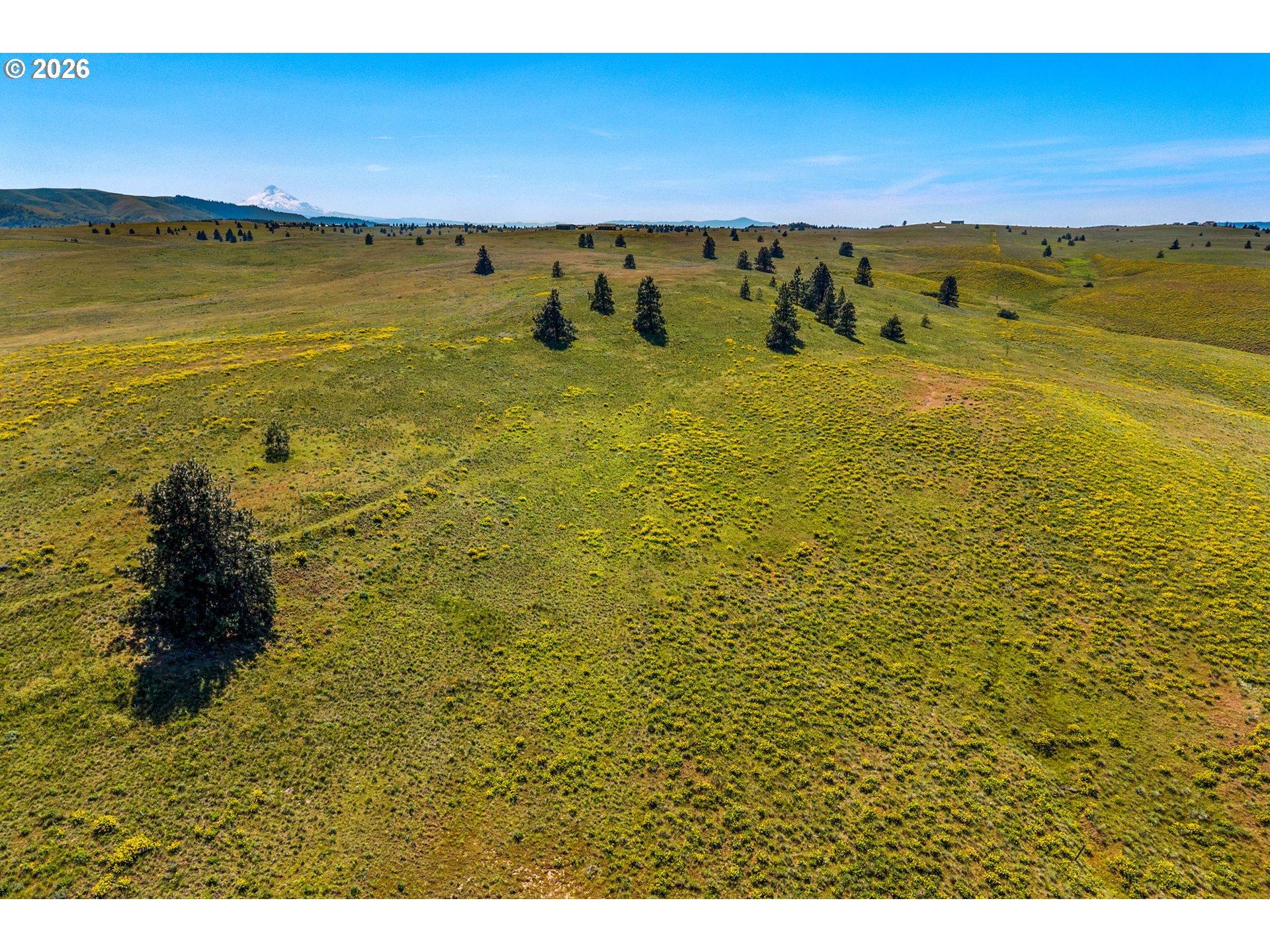 1125 High Prairie Road Lyle, WA 98635 - Photo 37 of 47