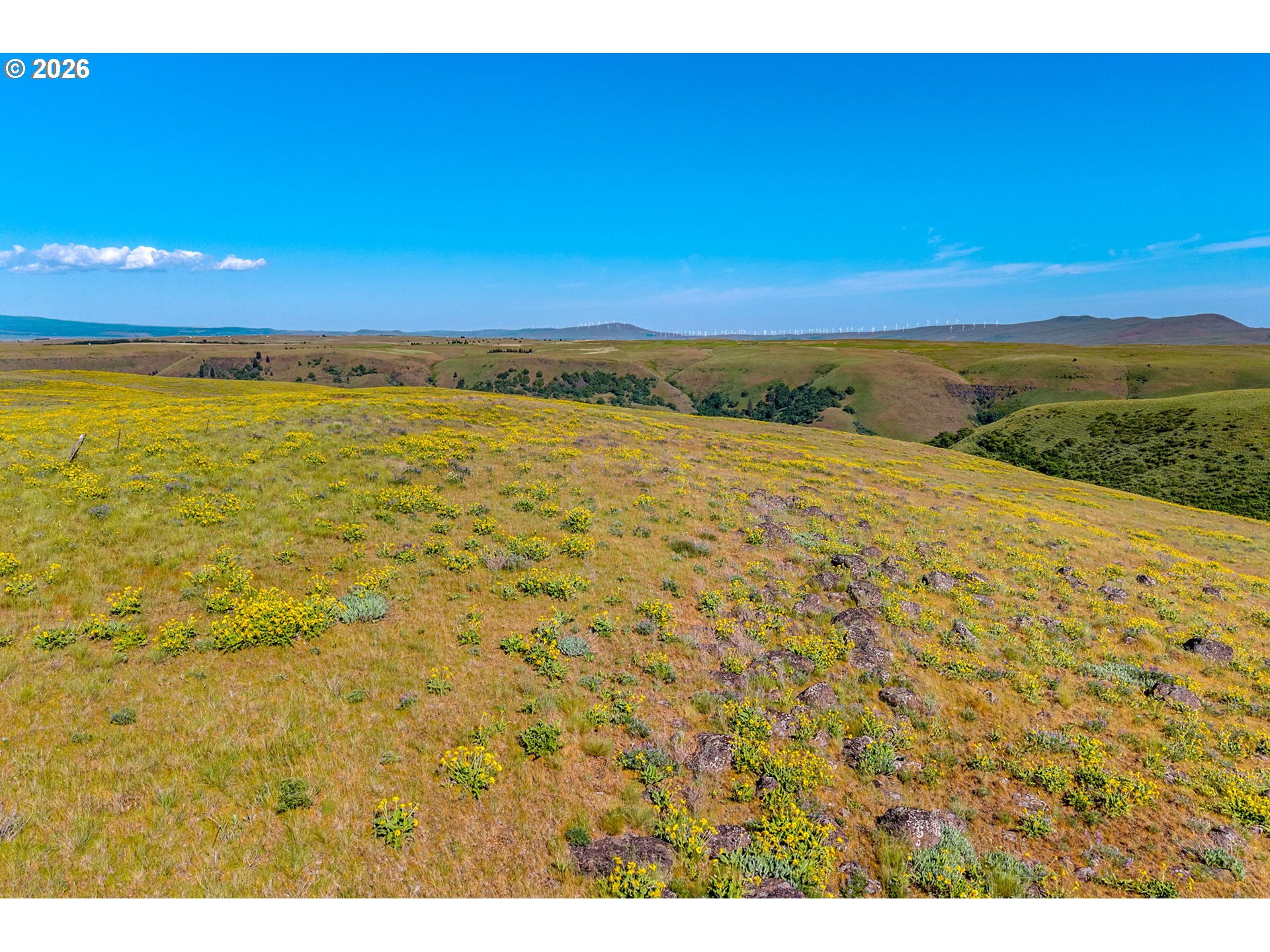 1125 High Prairie Road Lyle, WA 98635 - Photo 38 of 47