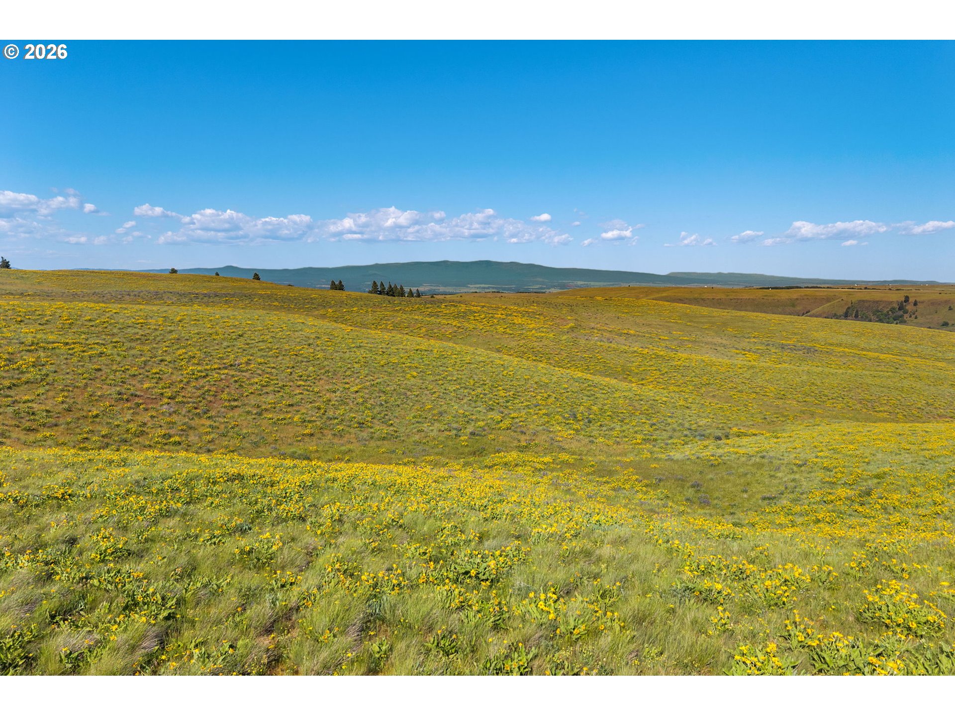 1125 High Prairie Road Lyle, WA 98635 - Photo 41 of 47