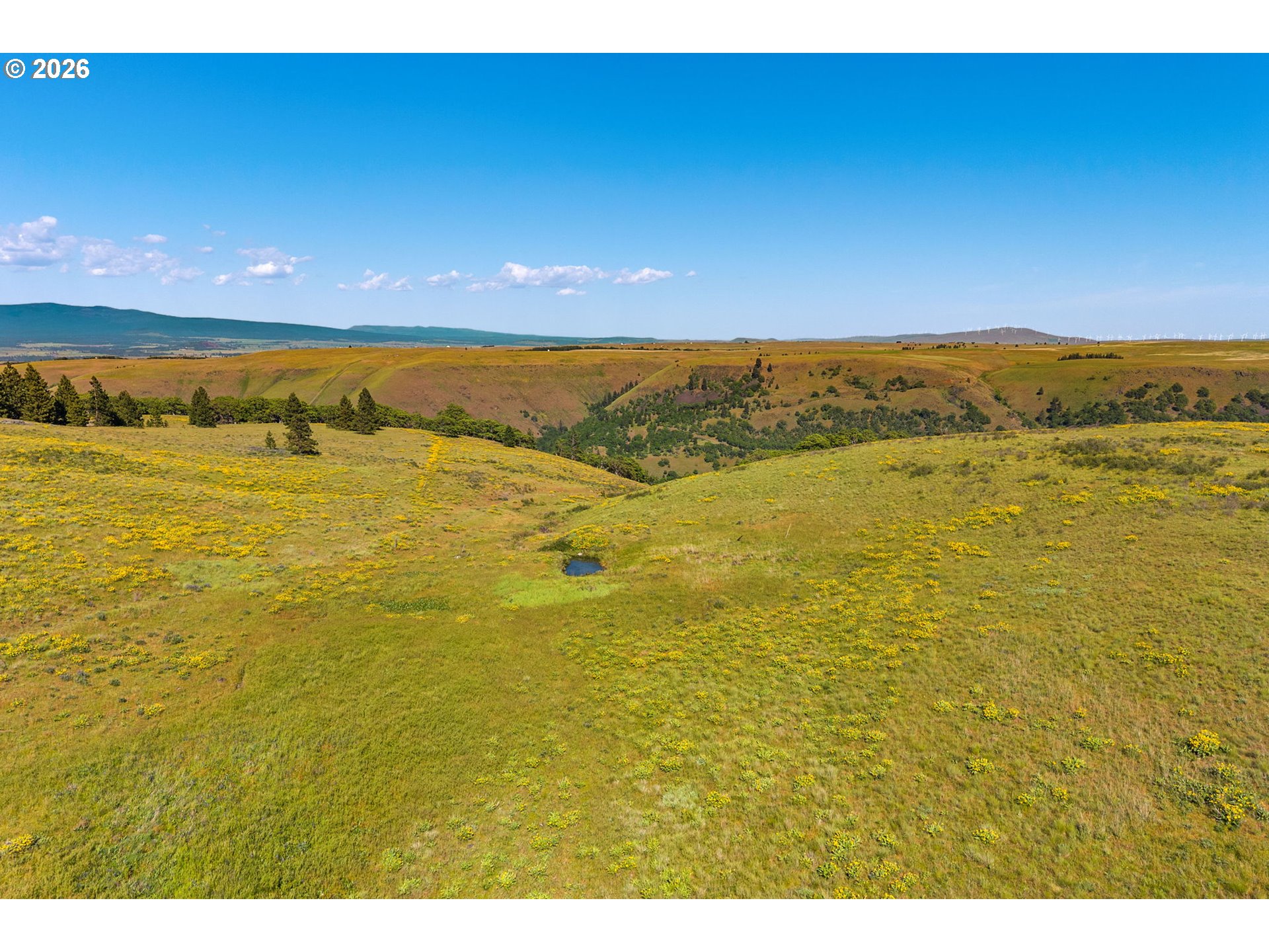 1125 High Prairie Road Lyle, WA 98635 - Photo 42 of 47