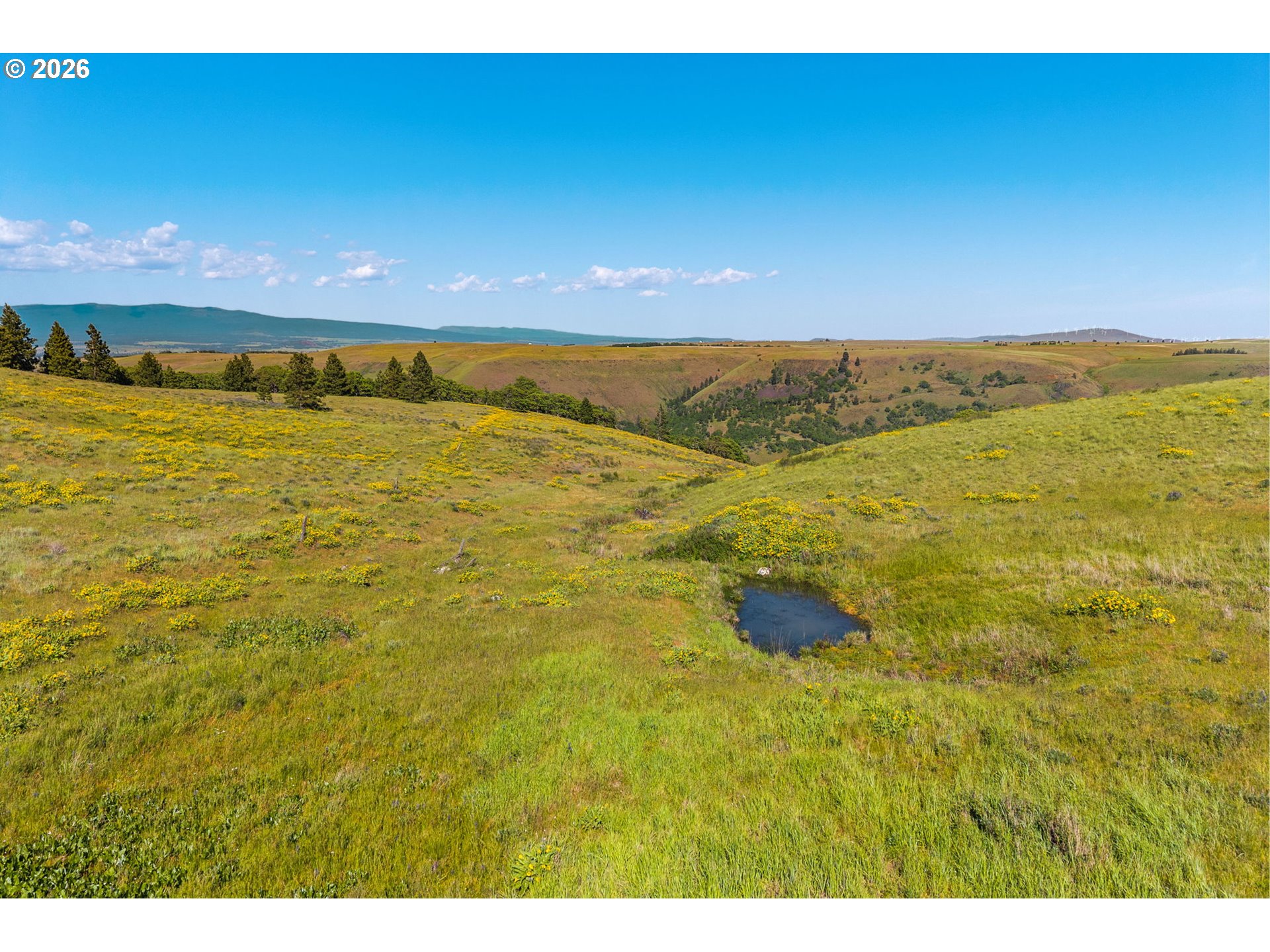 1125 High Prairie Road Lyle, WA 98635 - Photo 43 of 47