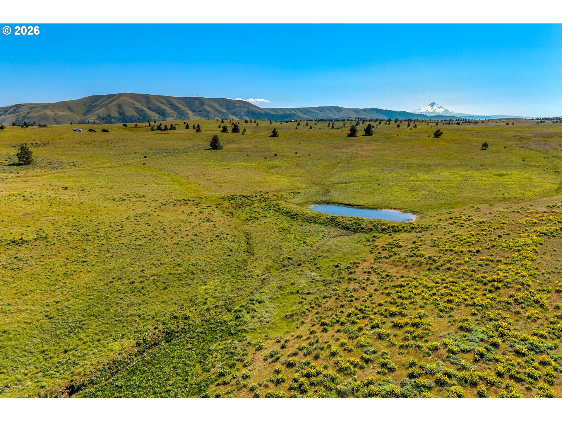 1125 High Prairie Road Lyle, WA 98635 - Photo 44 of 47