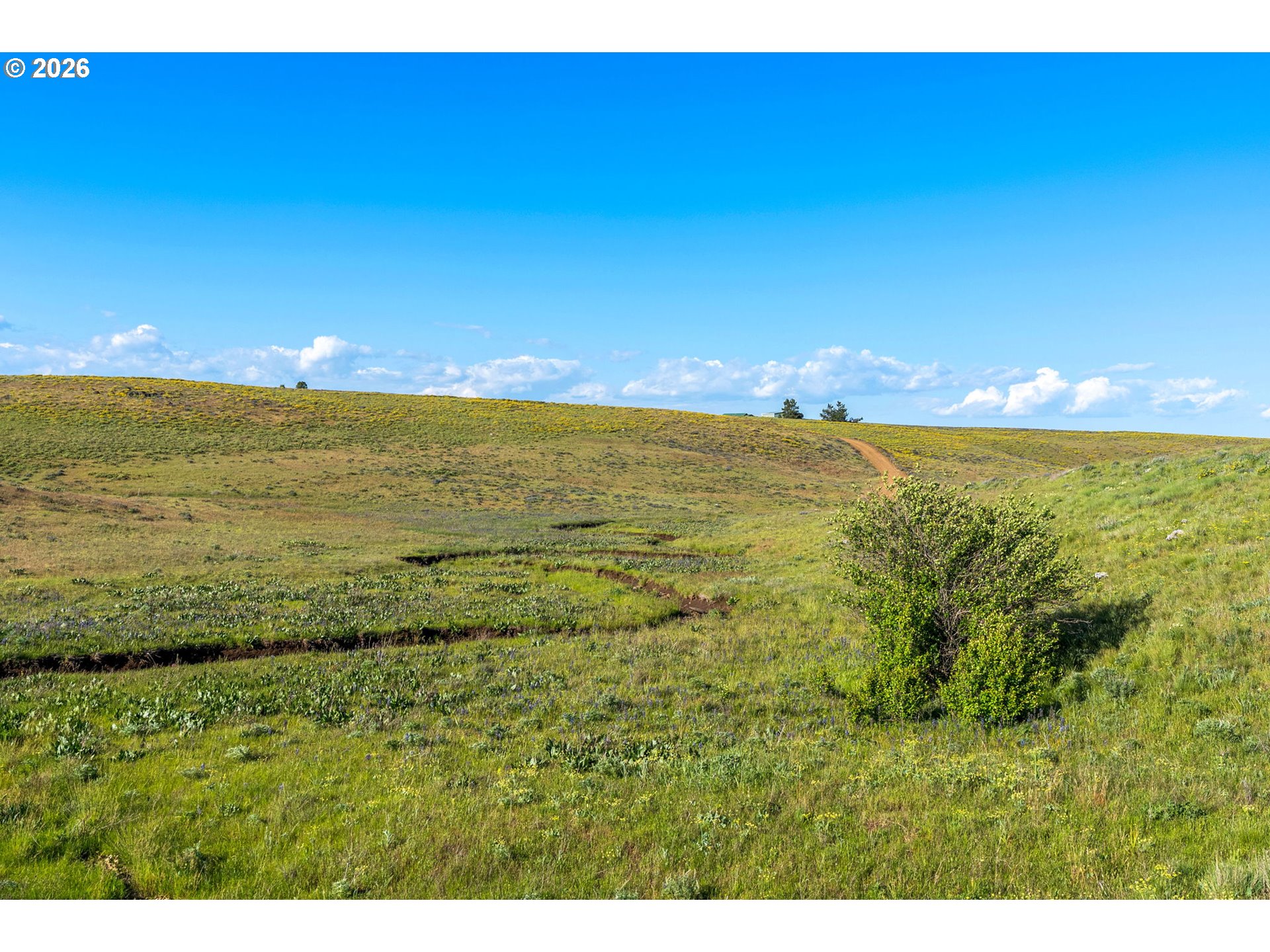 1125 High Prairie Road Lyle, WA 98635 - Photo 45 of 47