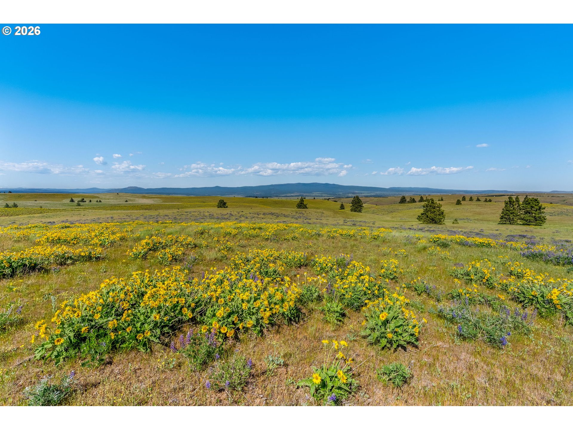 1125 High Prairie Road Lyle, WA 98635 - Photo 46 of 47