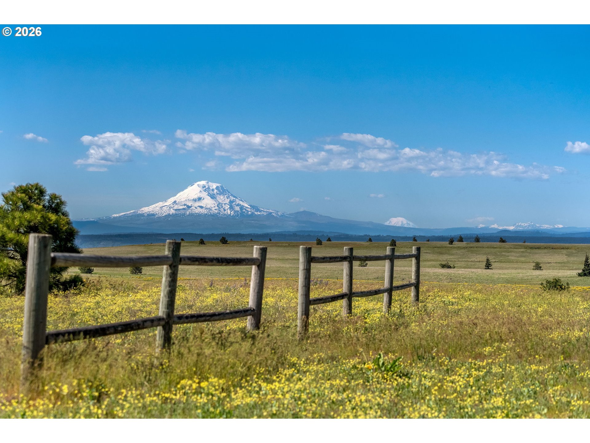 1125 High Prairie Road Lyle, WA 98635 - Photo 5 of 47