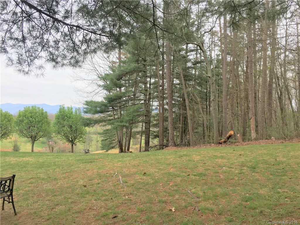 544 Mag Sluder Road Alexander, NC 28701 - Photo 22 of 22 Gallery Image 22