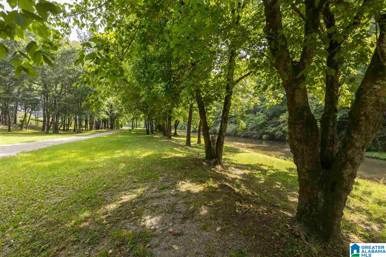 6555 Spring Street Trussville, AL 35173 - Photo 13 of 15