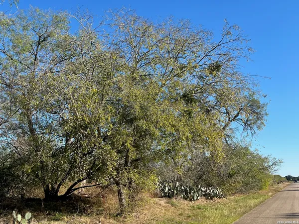 $142,500 | 0 Red Barn Road, Poteet, TX 78065