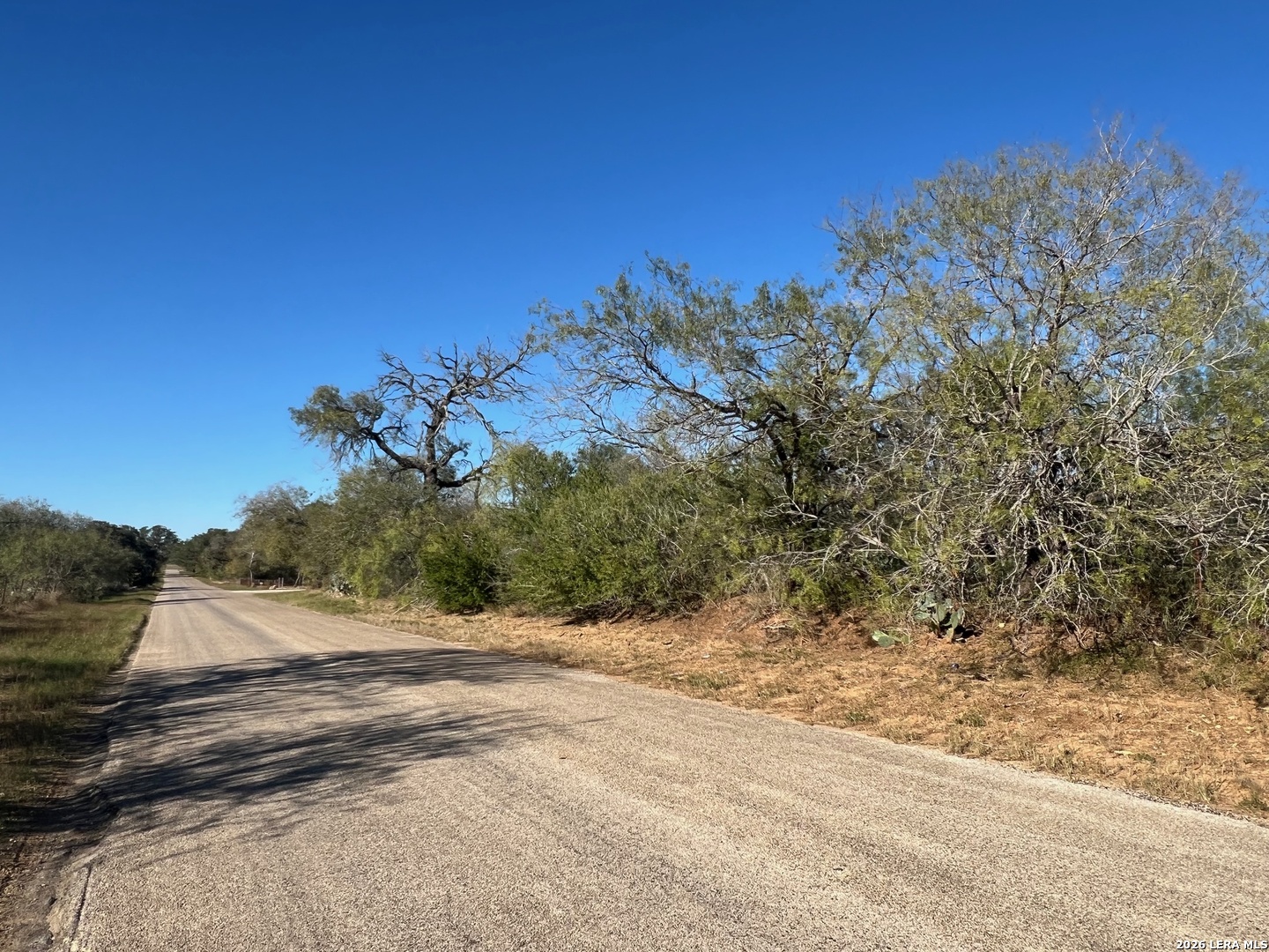Tbd Red Barn Road Poteet, TX 78065 - Photo 2 of 8