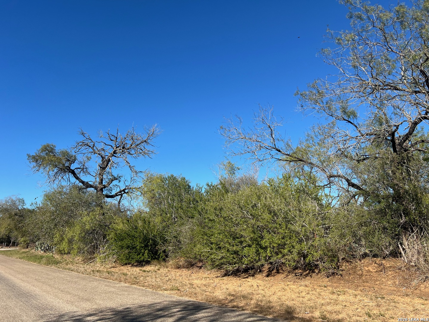 Tbd Red Barn Road Poteet, TX 78065 - Photo 4 of 8