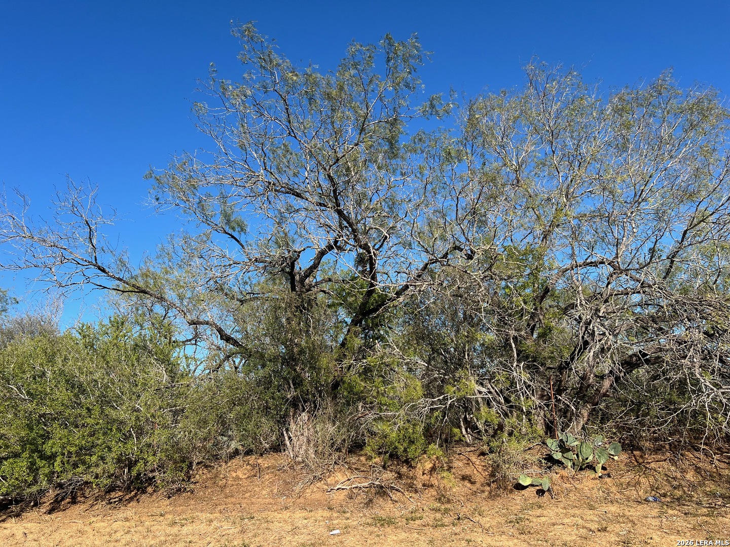 Tbd Red Barn Road Poteet, TX 78065 - Photo 5 of 8