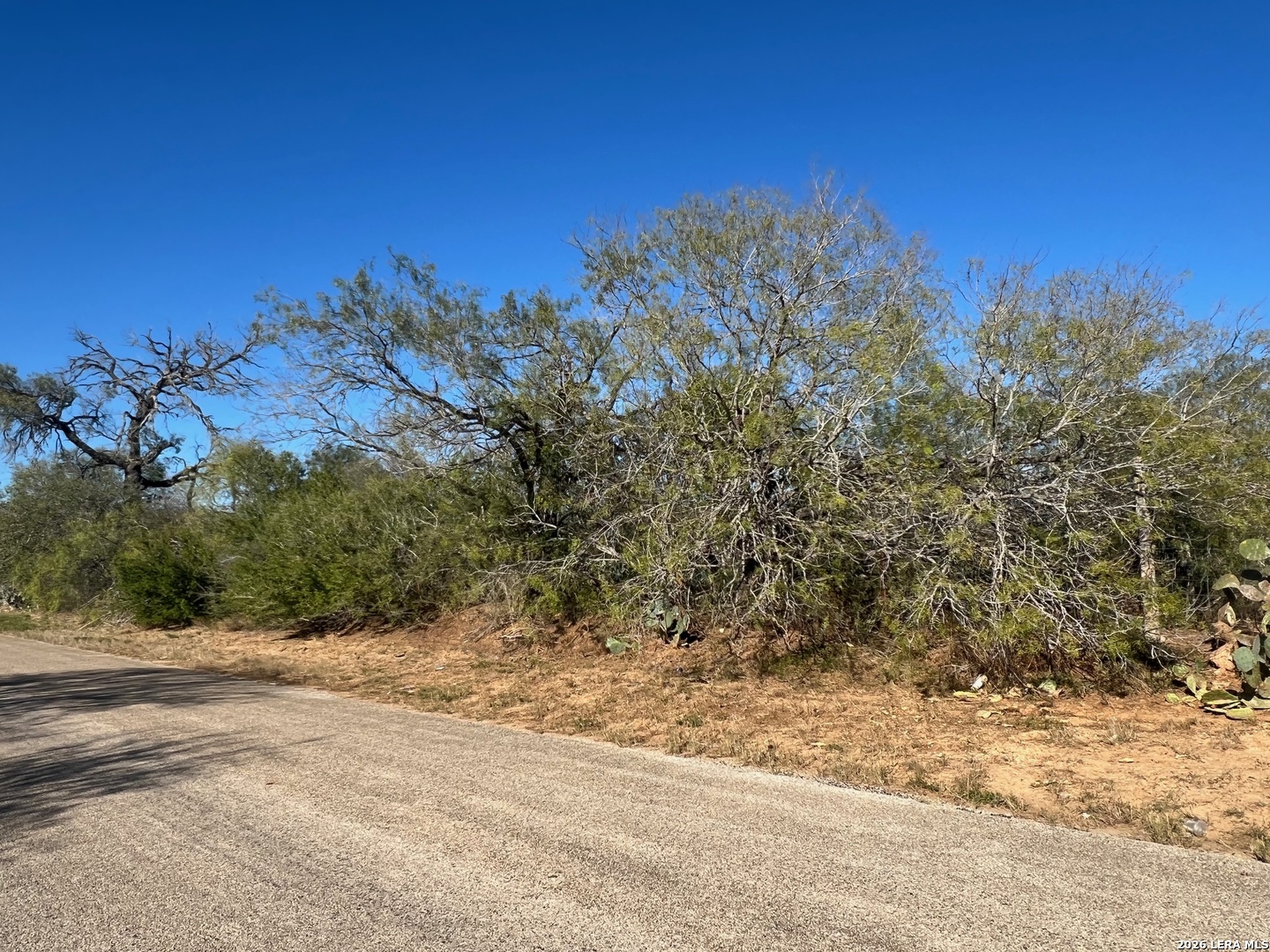 Tbd Red Barn Road Poteet, TX 78065 - Photo 6 of 8
