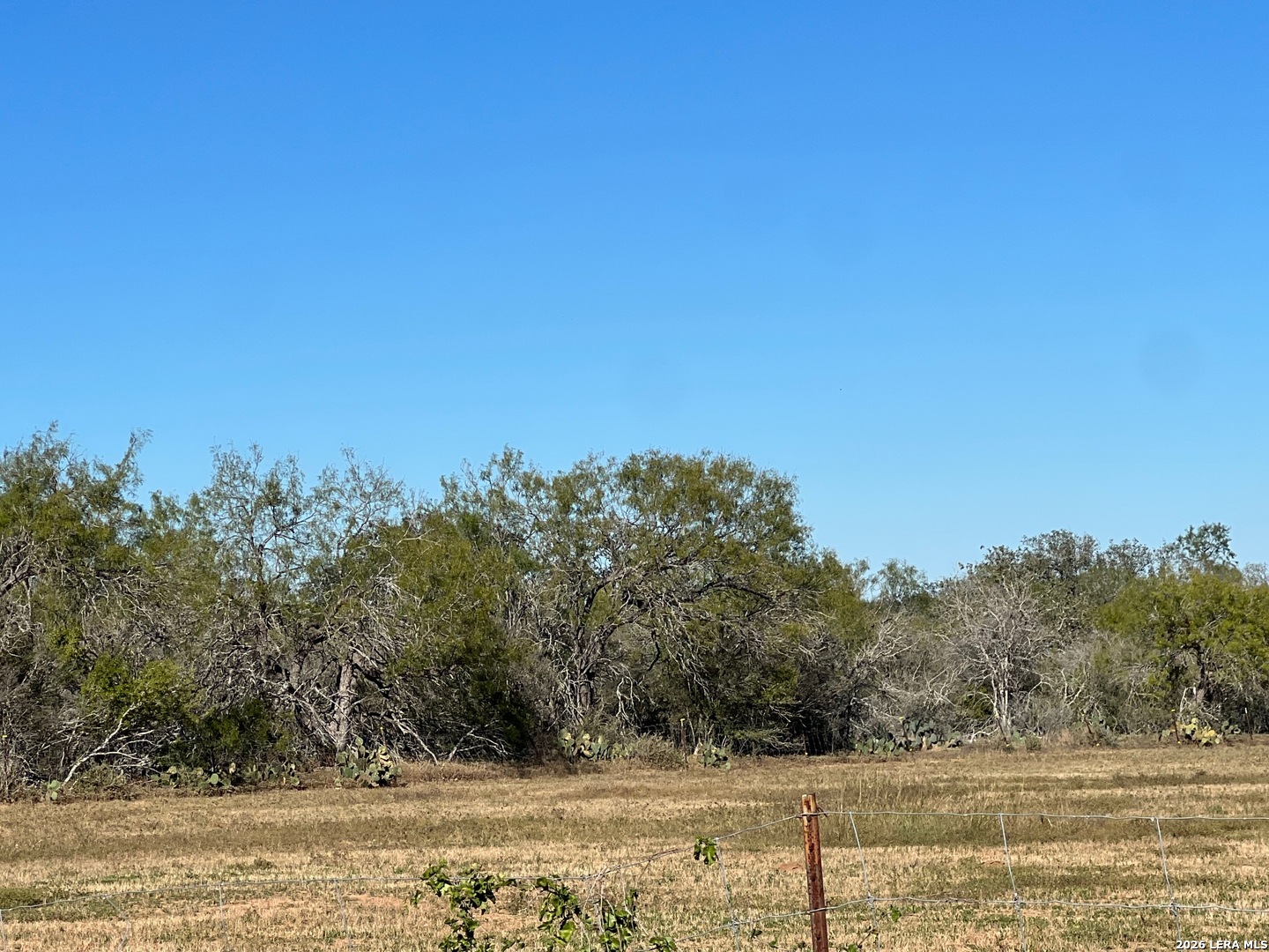 Tbd Red Barn Road Poteet, TX 78065 - Photo 8 of 8