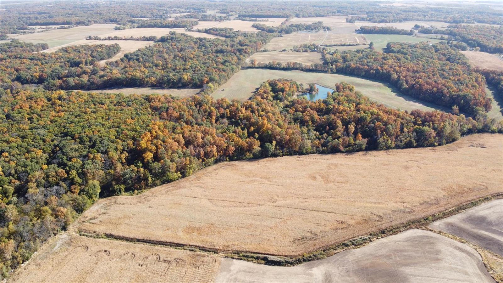 0 Bethel Church Road Pinckneyville, IL 62274 - Photo 10 of 16 Gallery Image 10
