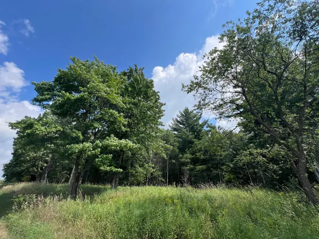 $314,900 | Tbd County Road M, Ogema, WI 54459
