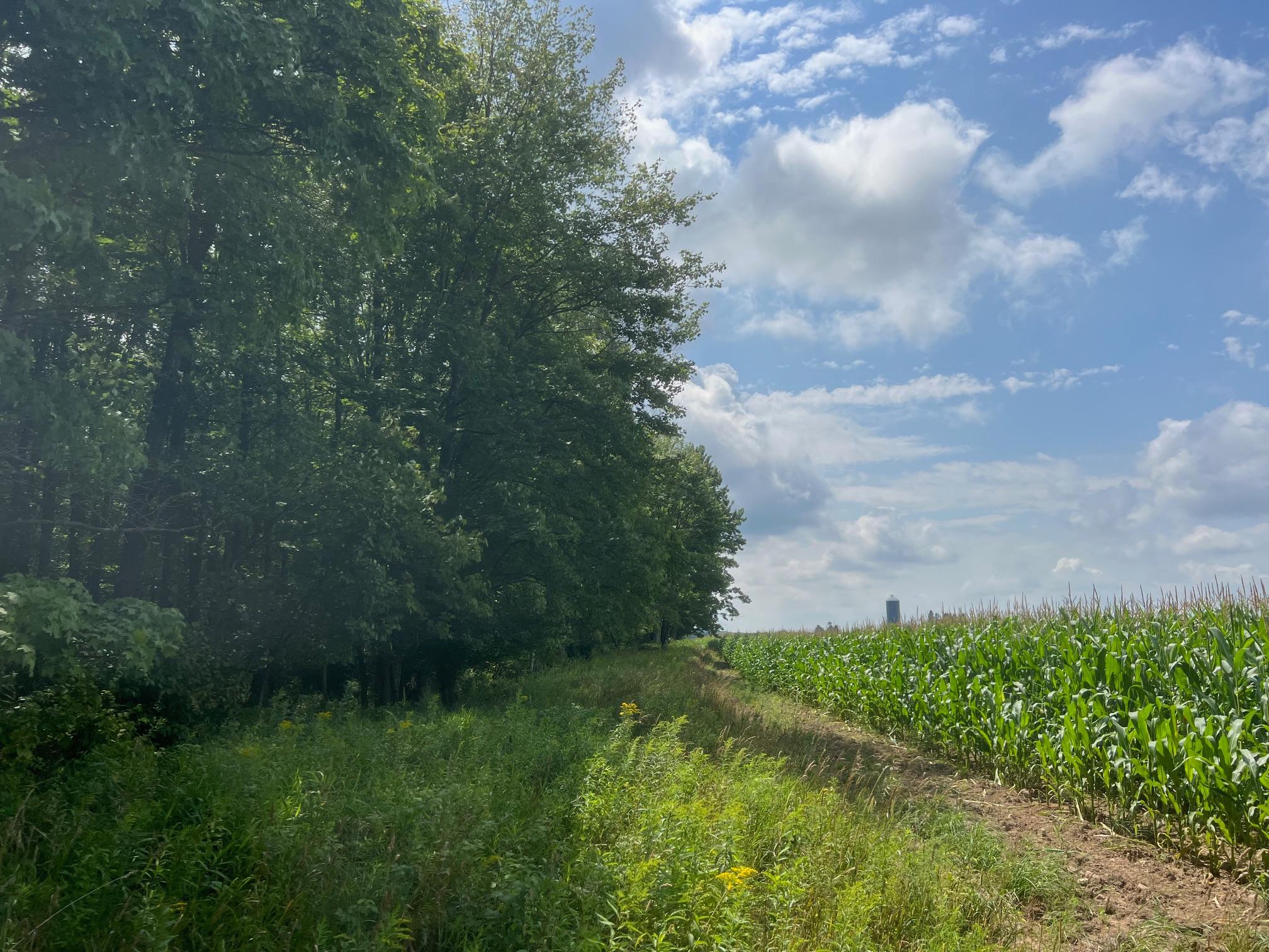Tbd County Road M Ogema, WI 54459 - Photo 13 of 34