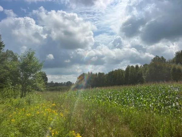 $299,900 | Tbd County Road M, Ogema, WI 54459