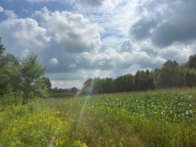 $314,900 | Tbd County Road M, Ogema, WI 54459